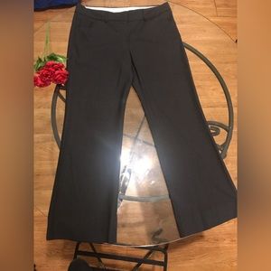 🌺🌸Theory slacks 🌸🌺